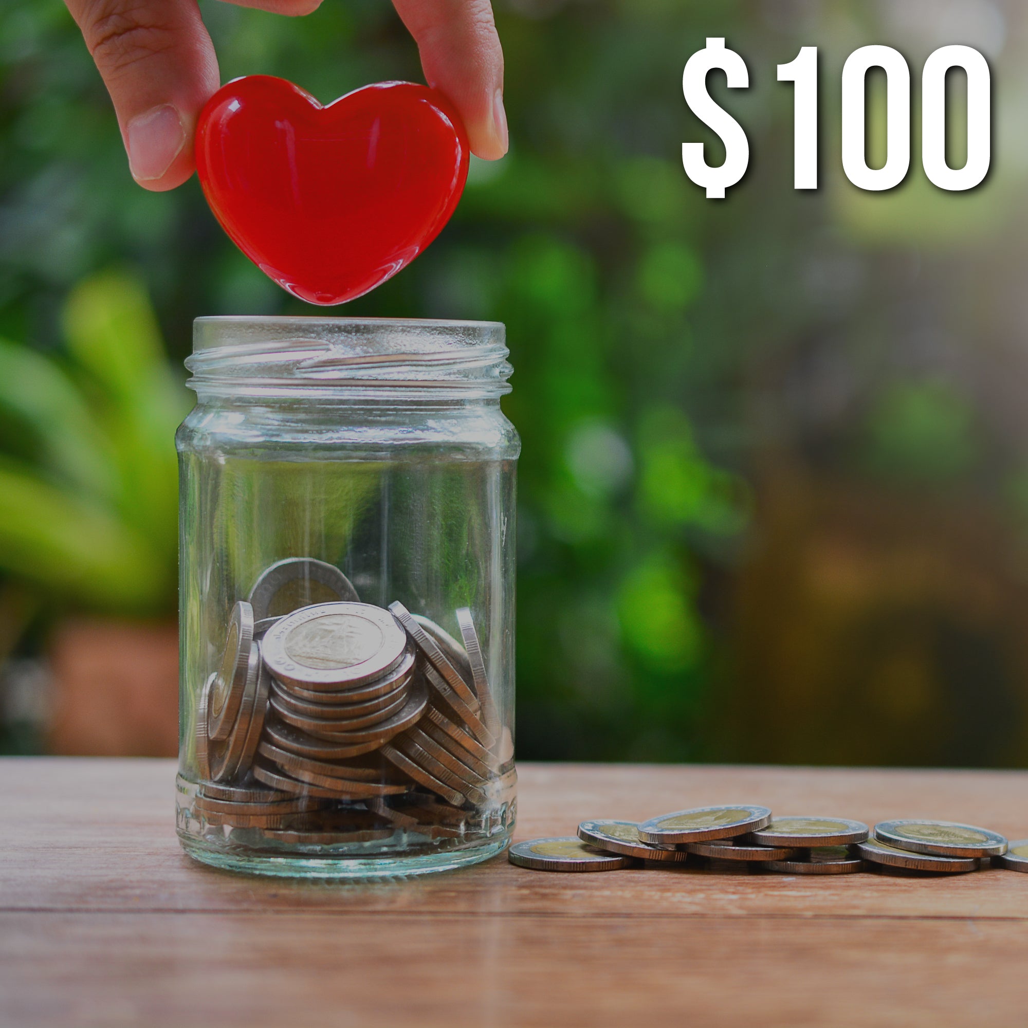 $100 Donation