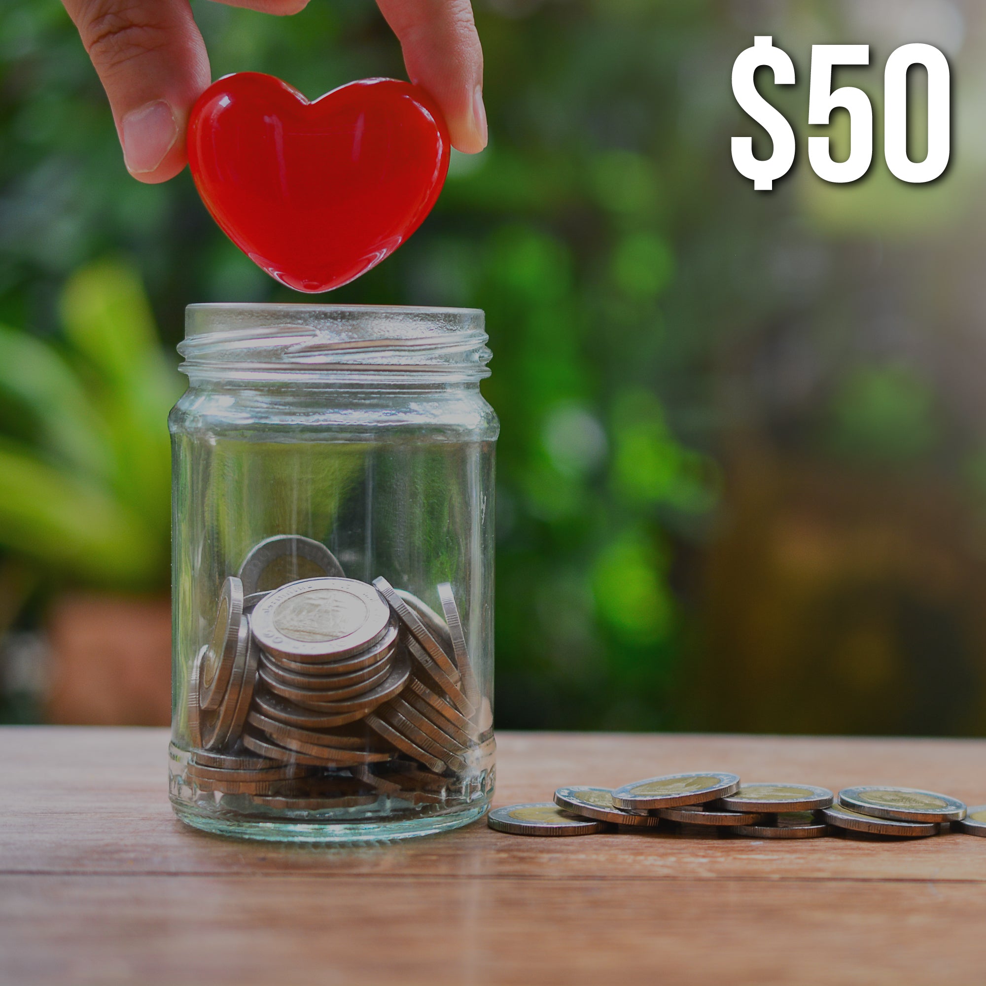 $50 Donation